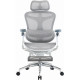 Крісло офісне з підставкою для ніг Sihoo DORO C300 Pro Mesh White with footrest (DORO-C300-PRO-M102-JT) Купити в Україні