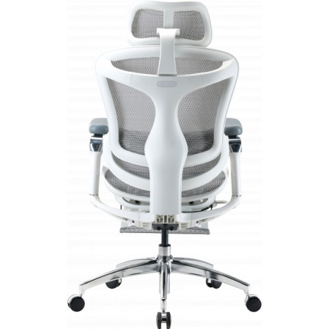Крісло офісне з підставкою для ніг Sihoo DORO C300 Pro Mesh White with footrest (DORO-C300-PRO-M102-JT) Купити в Україні