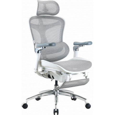Крісло офісне з підставкою для ніг Sihoo DORO C300 Pro Mesh White with footrest (DORO-C300-PRO-M102-JT) Купити в Україні
