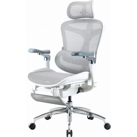 Крісло офісне з підставкою для ніг Sihoo DORO C300 Pro Mesh White with footrest (DORO-C300-PRO-M102-JT) Купити в Україні