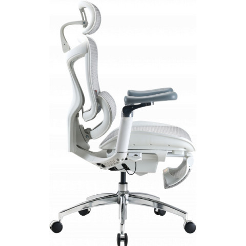 Крісло офісне з підставкою для ніг Sihoo DORO C300 Pro Mesh White with footrest (DORO-C300-PRO-M102-JT) Купити в Україні