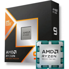AMD Ryzen 9 9900X3D (100-100001368WOF)