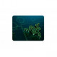 Ігрова поверхня Razer Goliathus Mobile (RZ02-01820200-R3M1)