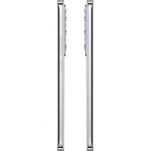 Смартфон Oppo Reno12 12/256GB Astro Silver