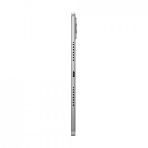 Планшет Lenovo Idea Tab Plus TB361FU 8/256GB Cloud Grey + Pen (ZAG70268UA)