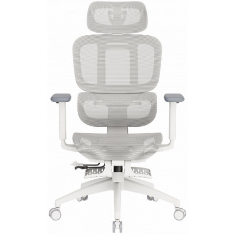 Крісло офісне OfficePro Skyline OC750-W-LG-LG Купити в Україні