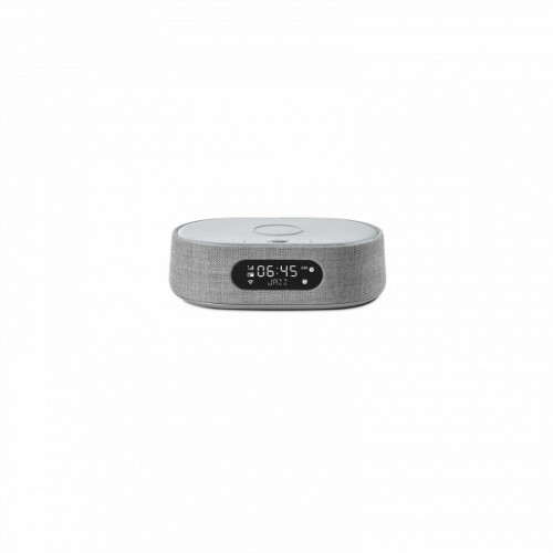 Моноблочна акустична система Harman/Kardon Citation Oasis FM Grey (HKCITAOASISFMGRYEP)
