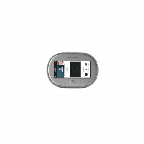 Моноблочна акустична система Harman/Kardon Citation Oasis FM Grey (HKCITAOASISFMGRYEP)