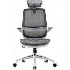 Крісло офісне Sihoo M59AS Mesh Gray (M59AS-M301)