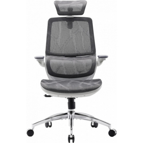Крісло офісне Sihoo M59AS Mesh Gray (M59AS-M301) Купити в Україні