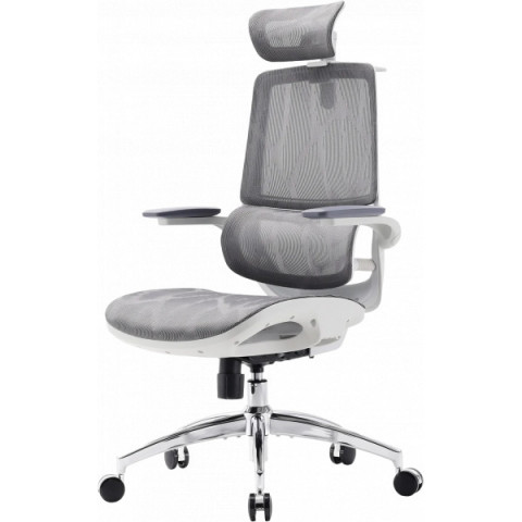 Крісло офісне Sihoo M59AS Mesh Gray (M59AS-M301) Купити в Україні