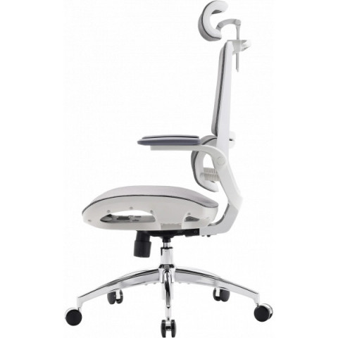 Крісло офісне Sihoo M59AS Mesh Gray (M59AS-M301) Купити в Україні