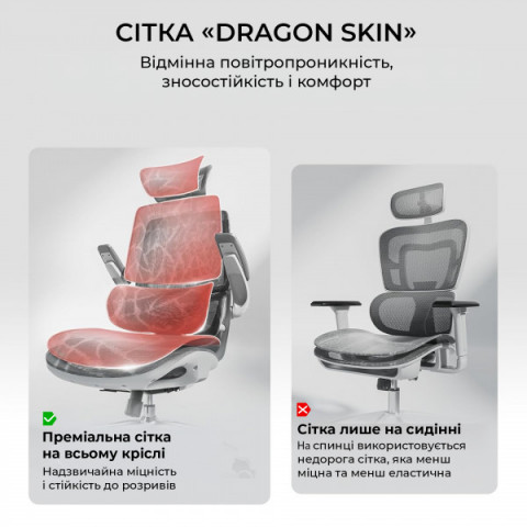 Крісло офісне Sihoo M59AS Mesh Gray (M59AS-M301) Купити в Україні