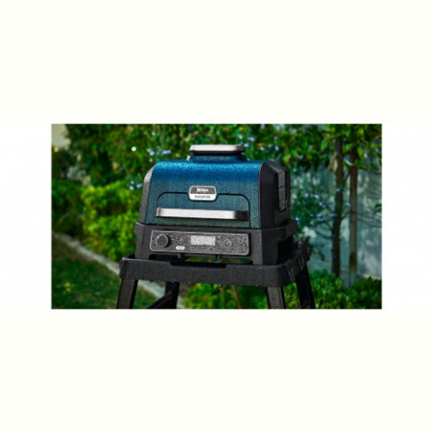 Гриль-барбекю Ninja Woodfire Pro XL OG850EU