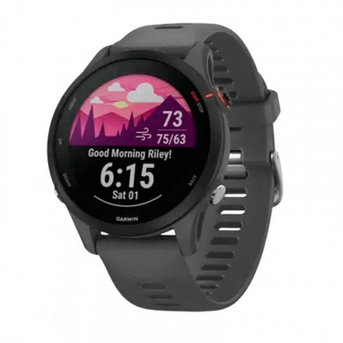 Смарт-годинник Garmin Forerunner 255 Slate (010-02641-43)