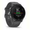 Смарт-годинник Garmin Forerunner 255 Slate (010-02641-43)