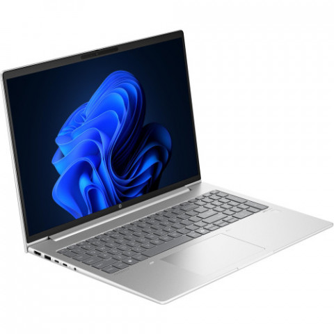 Ноутбук HP ProBook 465 G11 (9Y7C7ET) Silver