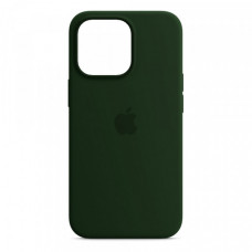 Чохол Original Silicone Case для Apple iPhone 13 Pro Clover (ARM62142)