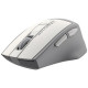 Миша бездротова A4Tech Fstyler FG30 (White), USB, колір білий