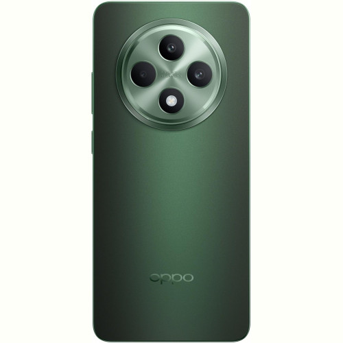 Смартфон Oppo Reno12 F 5G 8/256GB Black Green