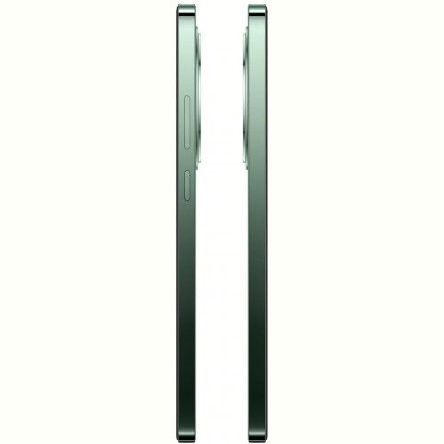 Смартфон Oppo Reno12 F 5G 8/256GB Black Green