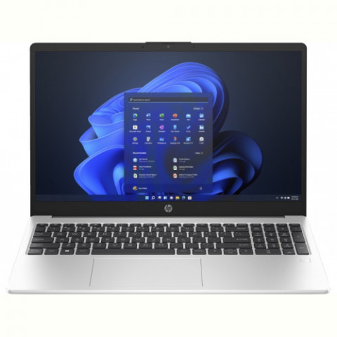 Ноутбук HP 250 G10 (85C23EA) Silver