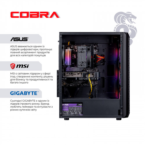 Персональний комп`ютер COBRA Gaming (A75F.32.S5.47S.19096)