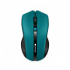Мишка бездротова Canyon CNE-CMSW05G Green USB