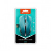 Мишка бездротова Canyon CNE-CMSW05G Green USB