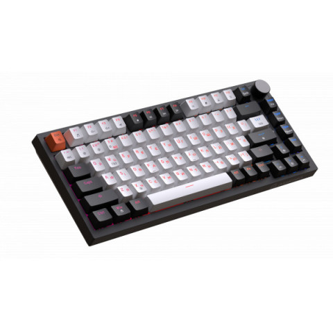 Дротова механічна клавіатура GamePro MK160 V2 Warden QLAB Sakura Black (MK160-V2-B-QS) Купити в Україні