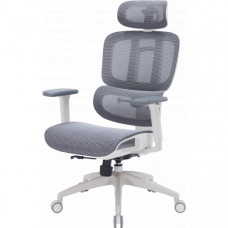 Крісло офісне OfficePro Skyline OC680-W-DG-DG