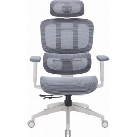 Крісло офісне OfficePro Skyline OC680-W-DG-DG Купити в Україні