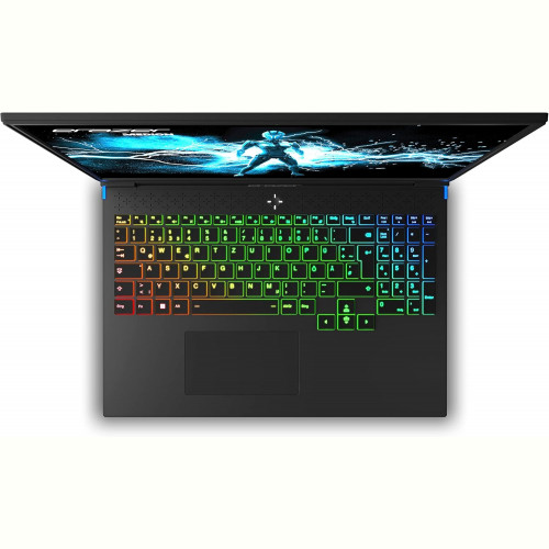 Ноутбук Medion Erazer Major X10 (4061275202243) Black