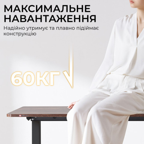 Комп’ютерний стіл з електрорегулюванням висоти Sihoo D03 1.4m Walnut/Black (D03-104/D03-108) Купити в Україні