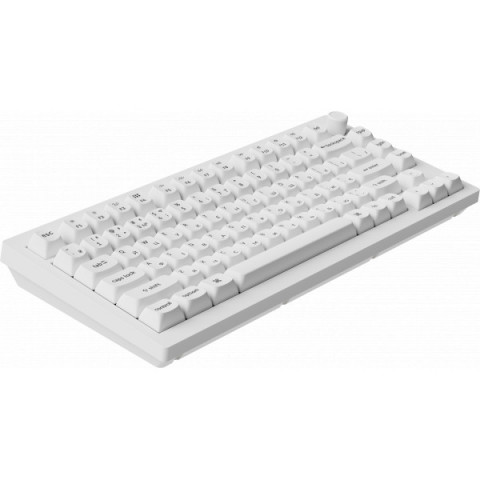 Клавіатура бездротова Keychron V1 Ultra Keychron Red Switch White RGB (V1U-F1-UA) Купити в Україні