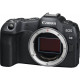 Canon EOS R8 Body (5803C019) *