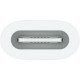 Адаптер Apple Pencil Apple USB-C to Apple Pencil Adapter (MQLU3)
