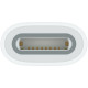 Адаптер Apple Pencil Apple USB-C to Apple Pencil Adapter (MQLU3)