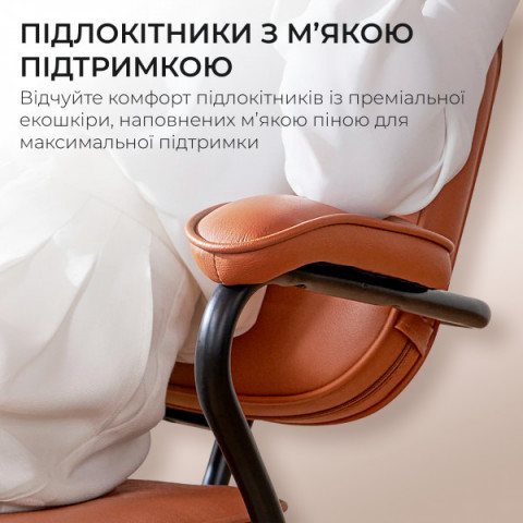 Крісло офісне Sihoo L3 PVC Brown (L3D-M101) Купити в Україні