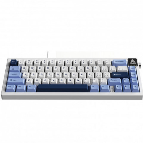 Клавіатура Ajazz AK650 Sea Salt Switch White USB-C (AK650-SS-BWB)