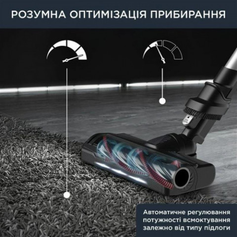 Пилосос акумуляторний Rowenta X-Force 9.6 Allergy RH2037WO