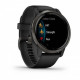 Смарт-годинник Garmin Venu 2 Plus Slate/Black with Black Band (010-02496-01)