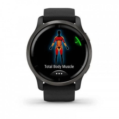 Смарт-годинник Garmin Venu 2 Plus Slate/Black with Black Band (010-02496-01)