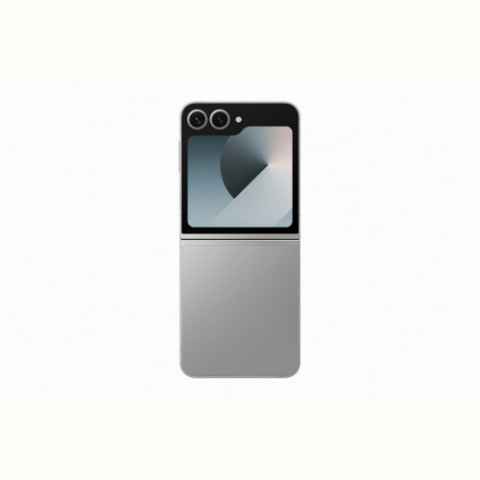 Смартфон Samsung Galaxy Flip 6 12/256GB Silver Shadow (SM-F741BZSG) Купити в Україні
