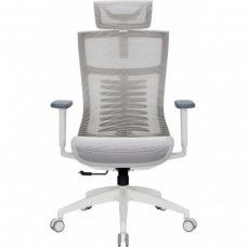 Офісне крісло OfficePro Balance OC620 Light Gray (OC620-W-LG-LG)