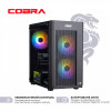 Персональний комп`ютер COBRA (A41.16.H1S2.165.17014)