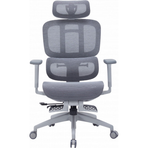 Крісло офісне OfficePro Skyline OC750-G-DG-DG Купити в Україні