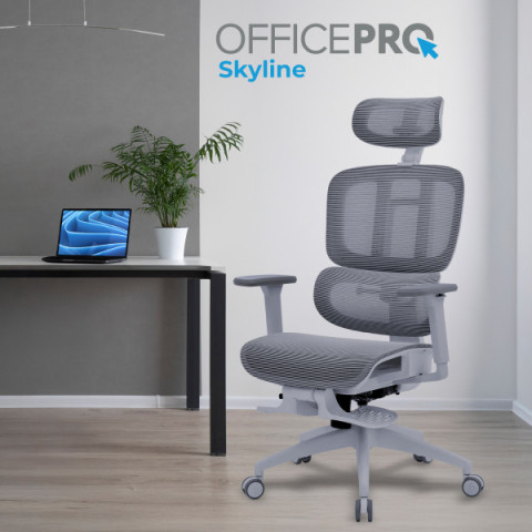 Крісло офісне OfficePro Skyline OC750-G-DG-DG Купити в Україні
