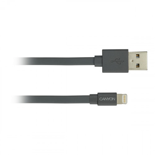 Кабель Lightning Canyon USB2.0 AM/Lightning Dark Gray 1m (CNS-MFIC2DG)