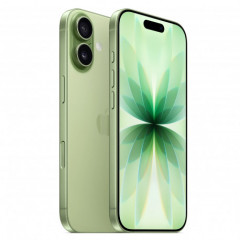 Apple iPhone 17 256GB Sage (MG6N4)